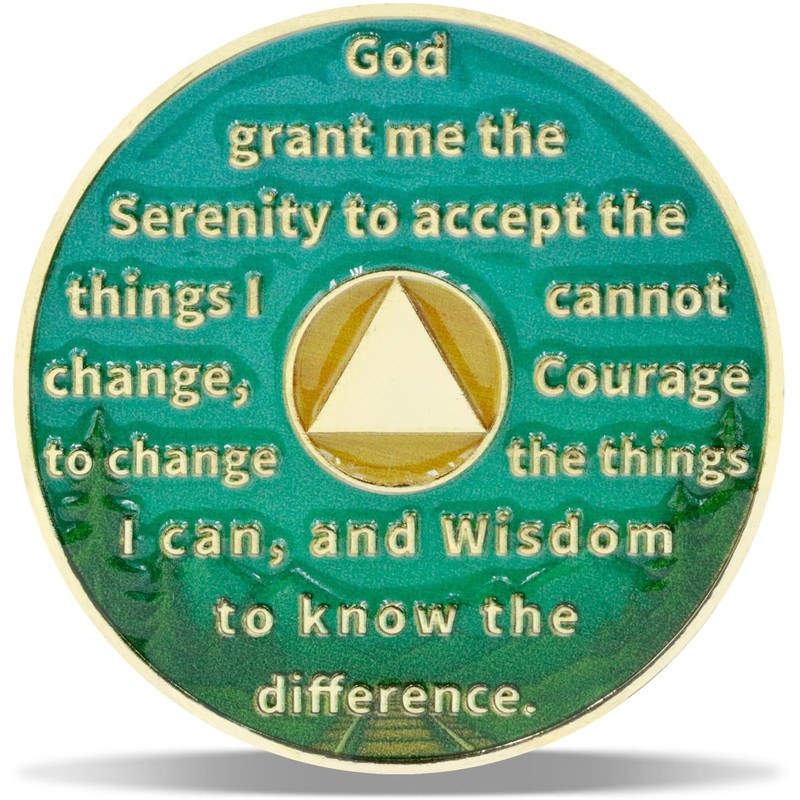 1 Year On Track Sobriety Coin – Journey into Serenity