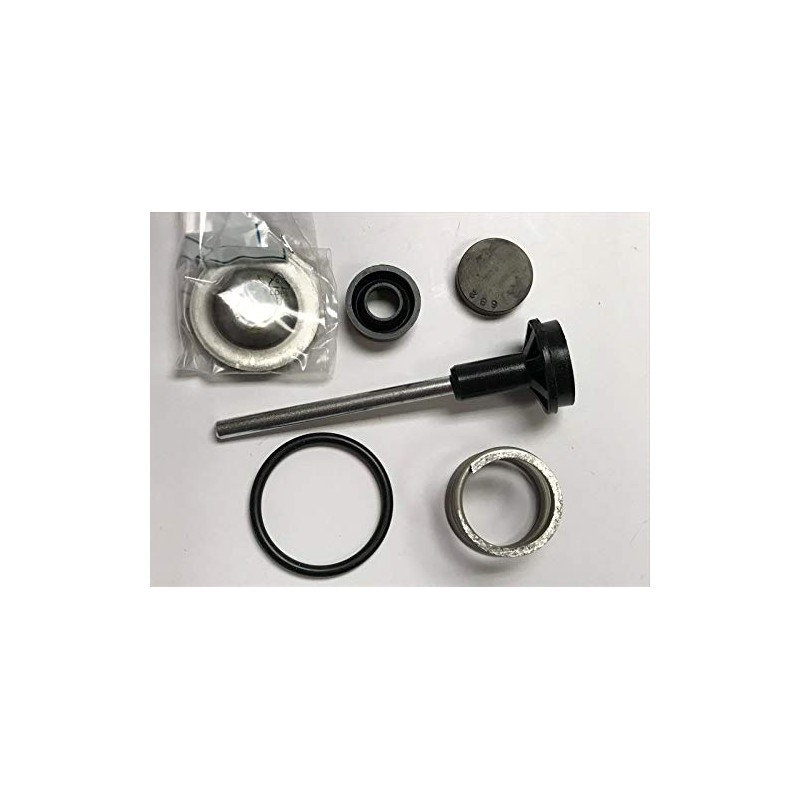 Hypro 9910-KIT1757 Regulator Repair Kit for 9910-GS40GI Regulator