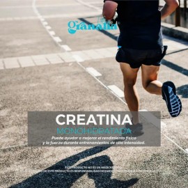 Creatina Monohidratada 100% Pura 500 G 100 Serv Granalia Lif Sin Sabor