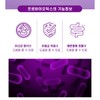 체지방 다이어트 유산균 보장균수 다이렉트 100억유산균 백억유산균 락토바실러스 아시도필루스 Body