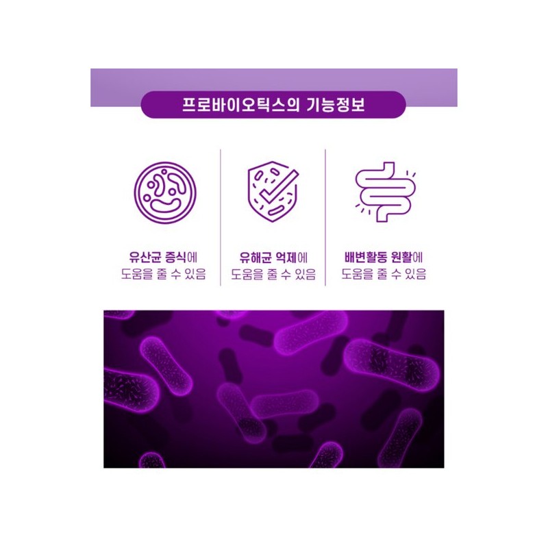 체지방 다이어트 유산균 보장균수 다이렉트 100억유산균 백억유산균 락토바실러스 아시도필루스 Body
