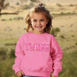 BOUTIKOME Toddler Baby Girl Birthday Sweatshirt 2nd 3rd 4th 5th 6th 7th Outfits Sequin Embroidered Shirts Pullover Party Top(Pink-Three)