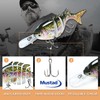 TRUSCEND Fishing Lures for Freshwater and Saltwater, Slow Sinking Bass