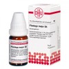 Plantago Major D 4 Globules 10 g