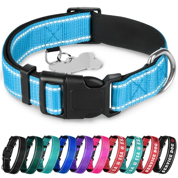 TECEUM Reflective Dog Collar – Sky Blue – XXS –