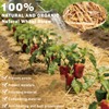 Natural Wheat Straw - Dry Clean Soft Bale for Stray