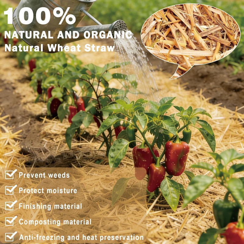 Natural Wheat Straw - Dry Clean Soft Bale for Stray