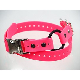 1" Biothane Dog Buckle Bungee Collar with Quick Snap Strap for Remote Trainer (Pink)