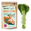 Matcha en Polvo Orgánico Japonés Organic Japanese Green Tea Matcha