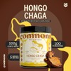 Commons Hongos Adaptógenos Hongo Chaga Extracto Puro Polvo 100 Suplemento