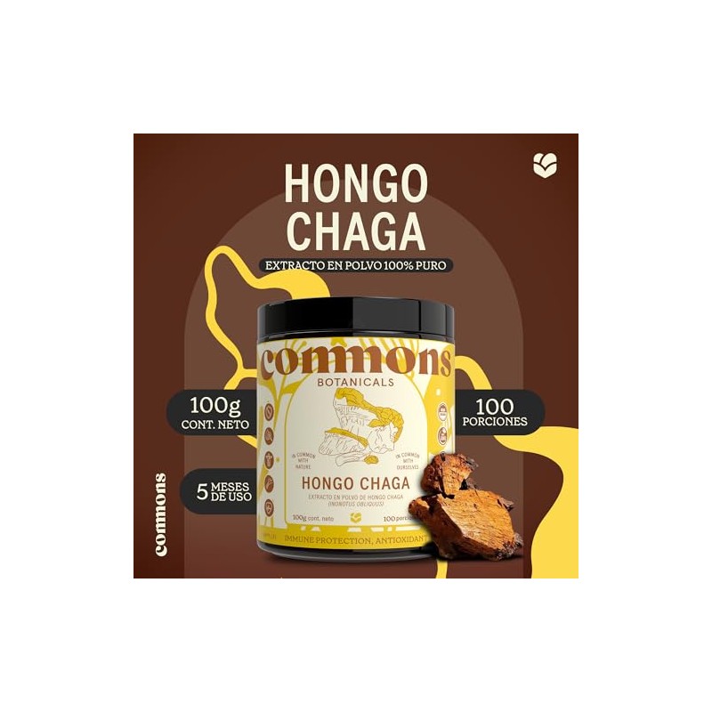 Commons Hongos Adaptógenos Hongo Chaga Extracto Puro Polvo 100 Suplemento