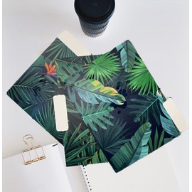 12 Pieces Decorative Folders, Decorative File Folders Botanical Design Plants and Flowers, Letter and A4 Size 9.25 x 12.20 Inches Foldersare, Decorative Tab Folders for Offices, School and Home