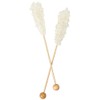 Dryden & Palmer Swizzle Sticks, Rock Candy Sticks - 5.75",