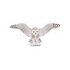 PAPO Flying Owl