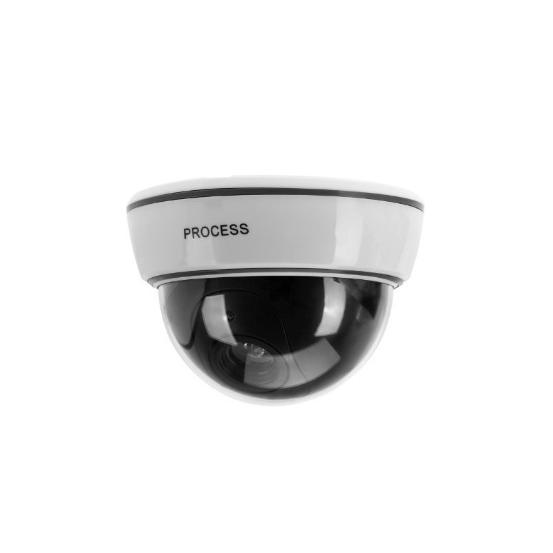 BW Outdoor Indoor Fake Imitation IR Dome CCTV Blinking Red