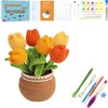 XIANFANG Crochet Kit for Beginners,Pink Tulip Crochet Kit Beginner Crochet