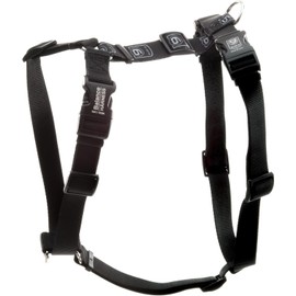 Blue-9 Buckle-Neck Balance Harness, Fully Customizable Fit No-Pull Harness, Ideal for Dog Training and Obedience, Made in The USA, Black, Medium