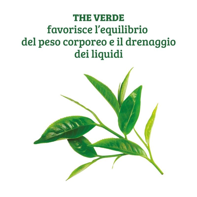 The 'Verde Egcg 60cps
