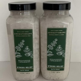 2 Aromatherapy Eucalyptus Spearmint Salt Bath Body Soak 2 x 17 oz