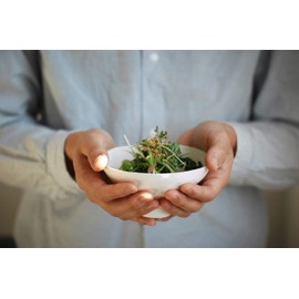 WASARA DM-008S Compote Plates, Set of 50, Paper Plates, Paper Containers, Japanese Lacquerware, Cherry Blossom Viewing, Disposable