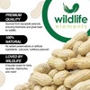 Wildlife Elements Peanut Party Unprocessed, Raw in-Shell Peanuts Wildlife Animal