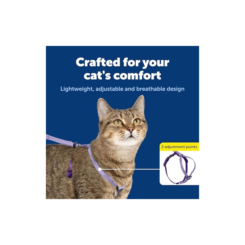 PetSafe Come with Me - Arnés de Gatito y Correa