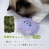 (SixMeow) Cat Toy, Cute Cat Toy, Cat Chew Toy, Popular
