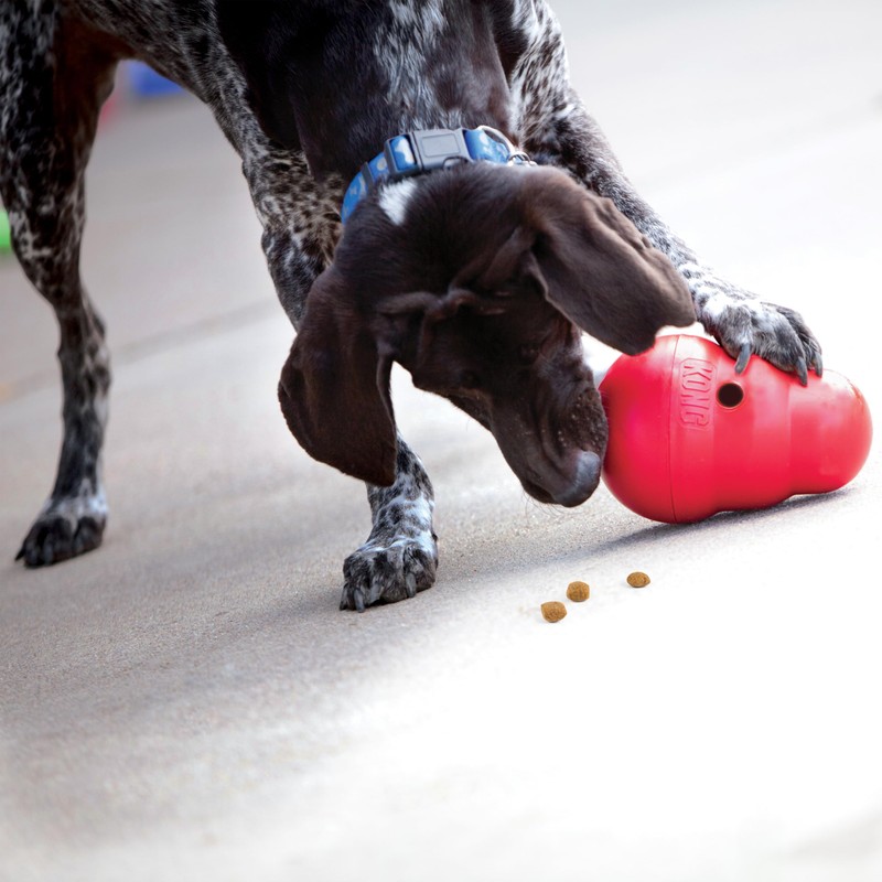 KONG Wobbler - Interactive Dog Toy for Treat Dispensing -