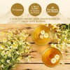 Special Leaves Soft Bloom Chamomile Tea, 75 g Loose Herbal