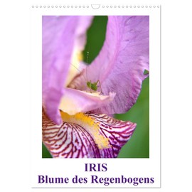 Iris, Flower of the Rainbow (Wall Calendar 2025 DIN A3 High), CALVENDO Monthly Calendar