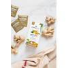 Miracle Tree - 6 Count of Organic Moringa Superfood Tea,
