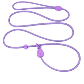 Slip Lead 6FT Slip Leash for Dogs No Pull Dog Training Leash Lightweight Dog Slip Lead 1/4 Slip Lead Dog Leash Dog Leash for Small Medium Dogs (Purple, 6FT)
