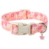 Unique style paws Dog Collar Plastic Buckle with Pendant Pink
