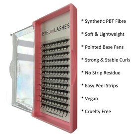 Russian Premade Lashes 8D D Curl 11-14 Mix Length Pre Made Lash Fans Volume Lashes Promade Lash Extensions Pre Made Lash Fans Eyelash Tray (8D 0.07 D Curl 11-14 Mix)