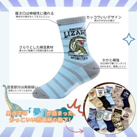 Konamiya 10 Pairs Boys Ride On Crew Socks, Dinosaur B