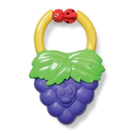 Infantino Vibrating Teether - Style May Vary by Infantino