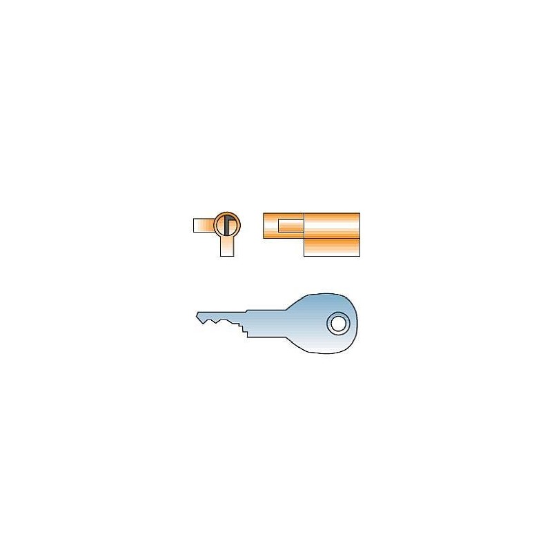 leisure MART Hitch Coupling Lock and Key Suitable for Trailers