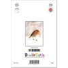 doodlecards Teacher Christmas Card Robin on Snow Medium Size Christmas