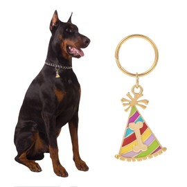 Madison Tyler Cute Birthday Hat Dog Tag | Puppy Necklace Pendant for Jewelry Charms | Dog Collar Charms | Happy Birthday Dog Bone Charm | Brithday Tag Dog Charms