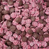 Candy Retailer Milk Chocolate Valentine's Nonpareils 1 Lb