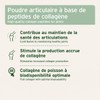 AniForte Marine Collagen Joint Powder for Dogs CollaMove 450g -