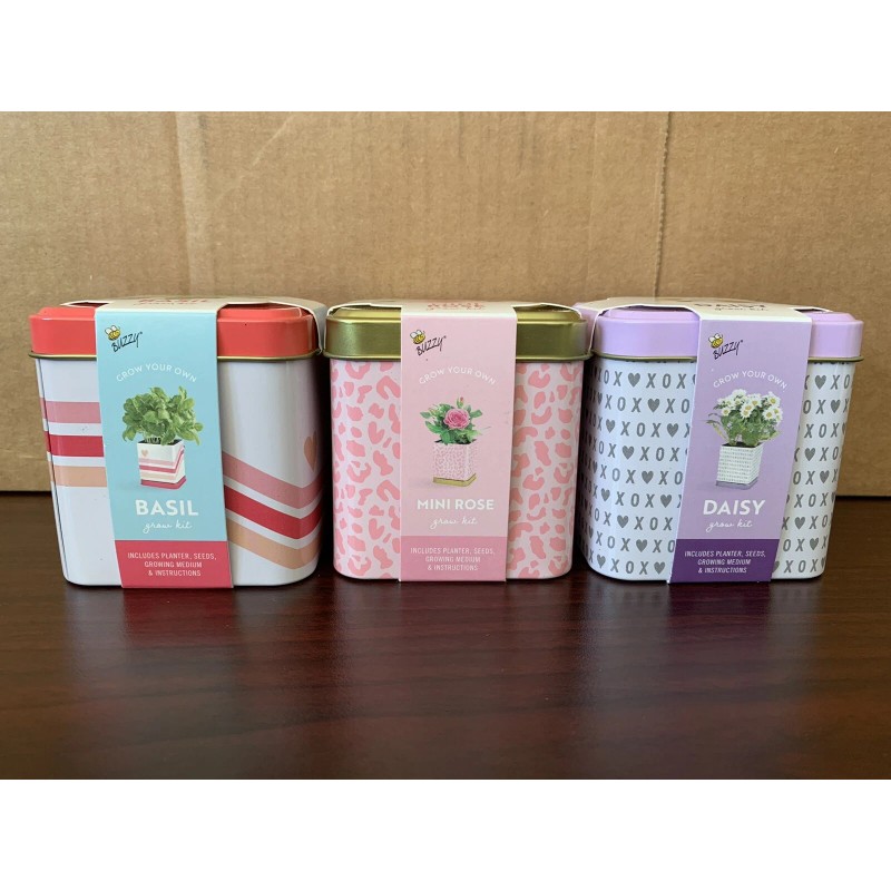 Buzzy Grow Your Own Grow Kit Mini Rose, Basil, &