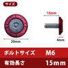 EVOLVERACING Anti-Theft Bolt Set for License Plates, Roadworthy (Red, Bolt