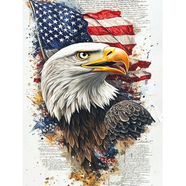 GMETINC Bald Eagle Diamond Painting Kits for Adults, DIY 5D Diamond Art Kits Full Drill Diamond Dots Paintings with Diamonds Gem Art and Crafts Home Decor 12x16inch