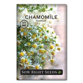 Sow Right Seeds - German Chamomile Seeds for Planting - Non-GMO Heirloom Packet with Instructions to Grow Herbal Tea - Medicinal & Aromatic Flower, Home Remedies - Small Daisy-Like Blooms (1)