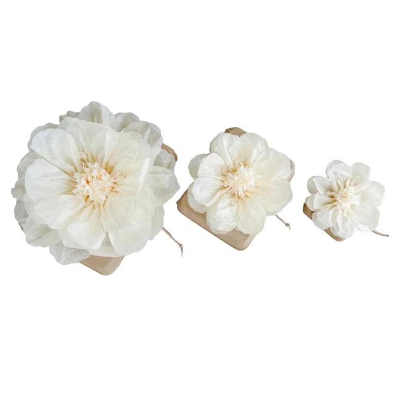 Biodegradable Water Burial Urn Kit - Cruise Approved | Ocean