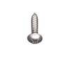 escom4 X 60 mm Trusses Head Tapping (Stainless Steel/Pack of