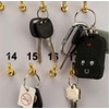 CGP Products 38 Hook Key Holder Wall Mount for Office,