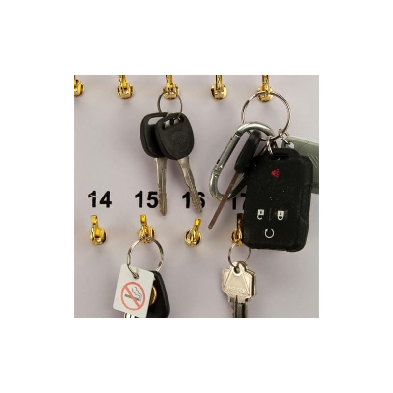 CGP Products 38 Hook Key Holder Wall Mount for Office,