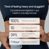 Zenwise - Probióticos y prebióticos digestivos -100 unidades
